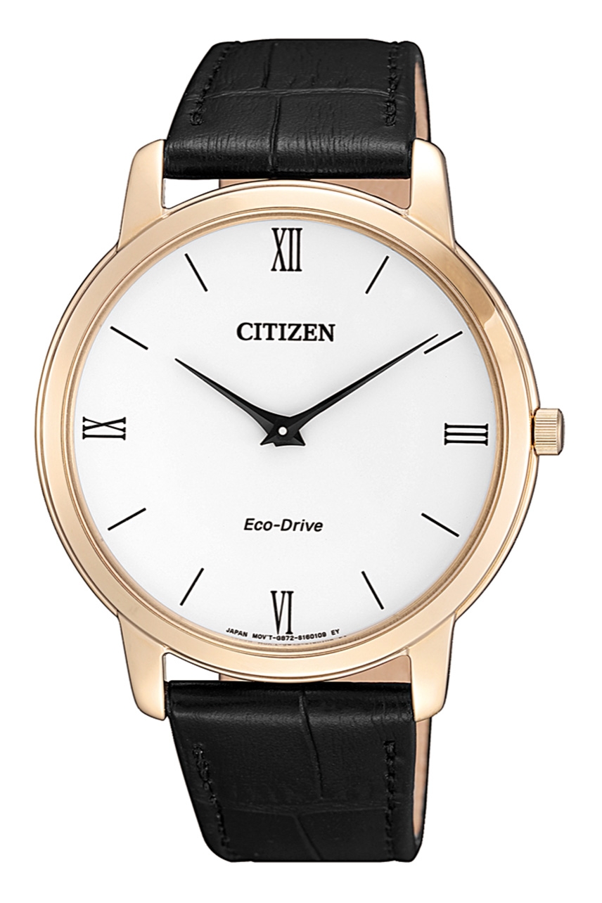 AR113323A CITIZEN WATCH